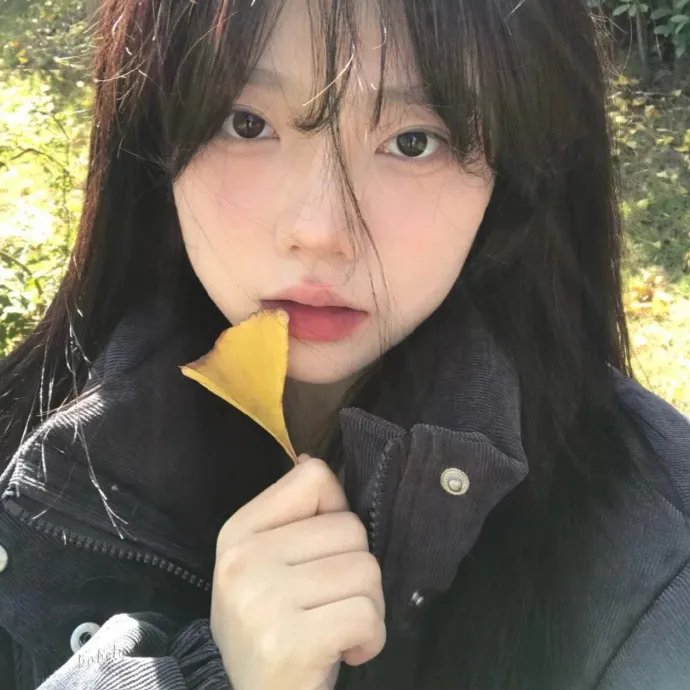 脂粉英雄